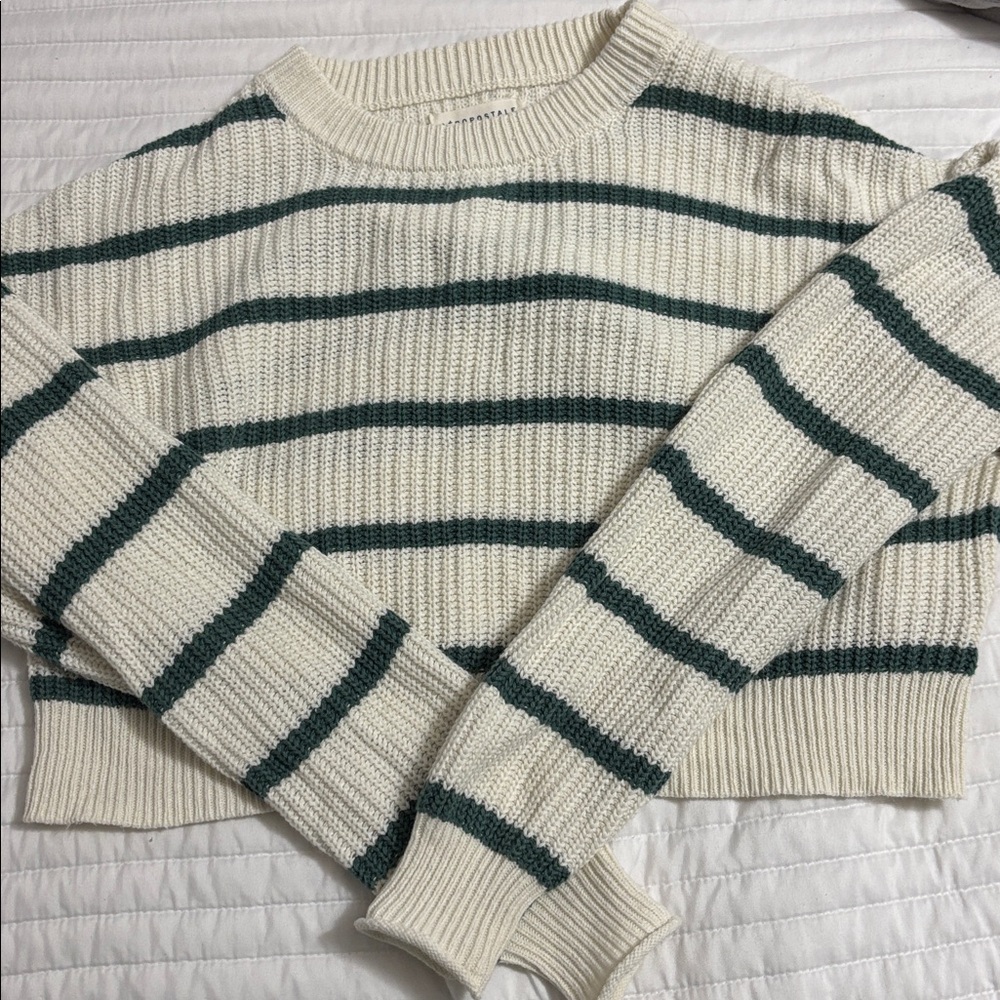Aeropostale White and Green Knit Sweater